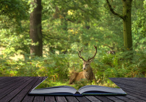 canstockphoto6878214